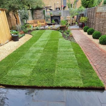 Home View Landscapes - Shaped Garden Lawn